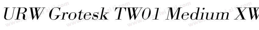 URW Grotesk TW01 Medium XWide字体转换
